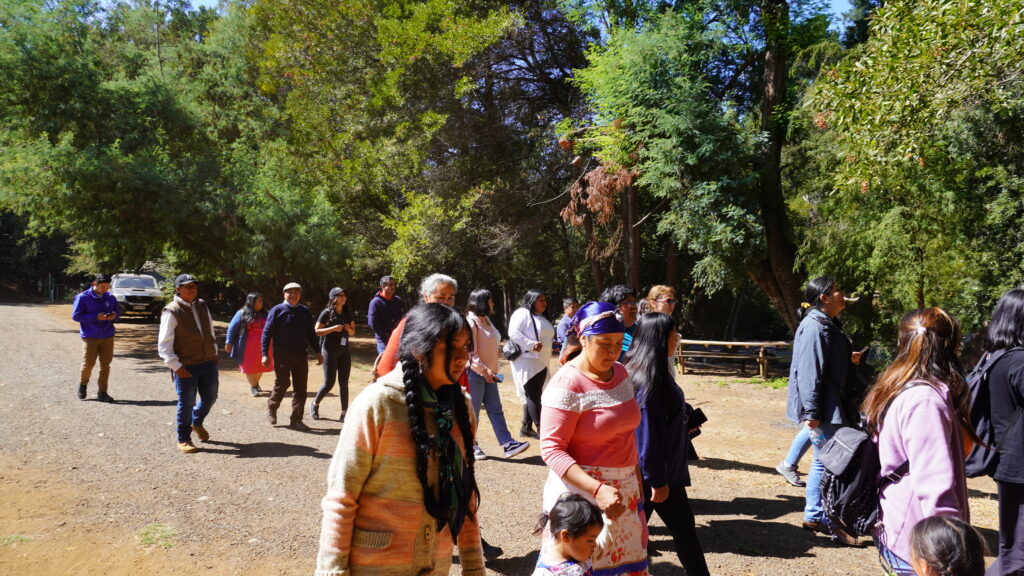 El dia 21 de marzo emprendedores de Puerto Saavedra visitaron la ruta turística Mapuche Taiñ Folil en nuestra comuna